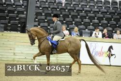 24BUCK_02657 proof