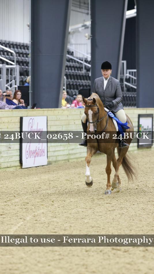 Proof 24BUCK_02658