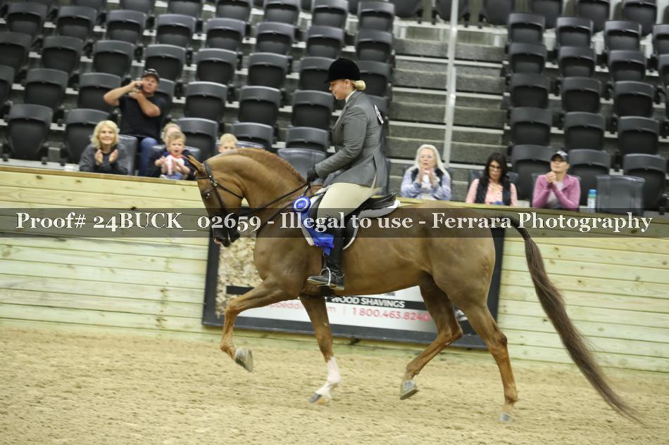 Proof 24BUCK_02659