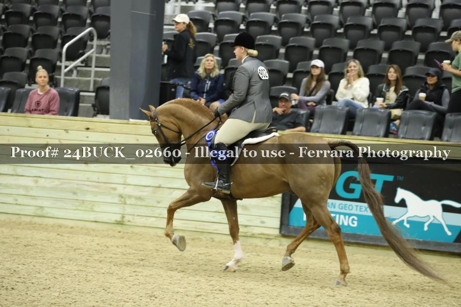 Proof 24BUCK_02660