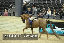 24BUCK_02660 proof