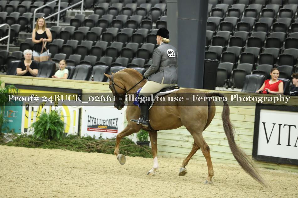 Proof 24BUCK_02661