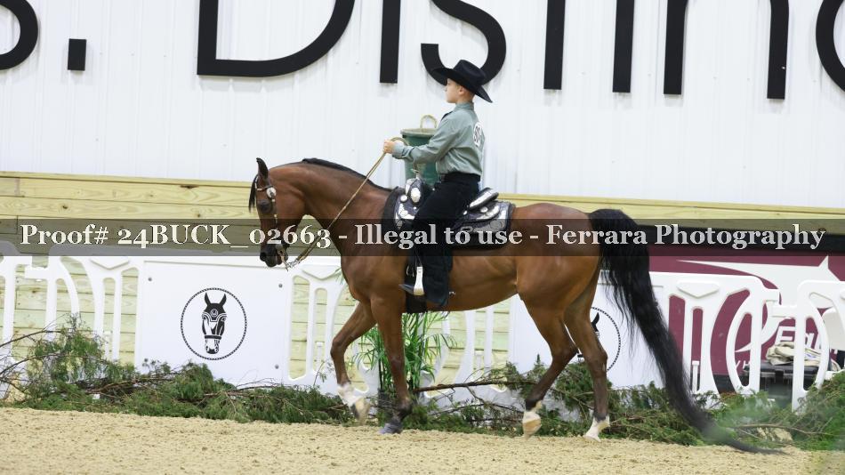 Proof 24BUCK_02663
