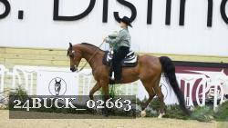 24BUCK_02663 proof