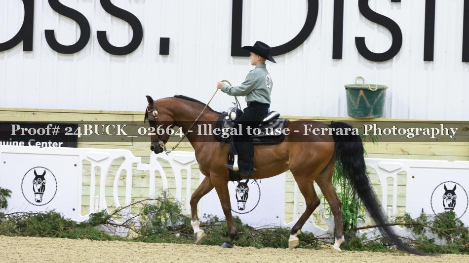 Proof 24BUCK_02664