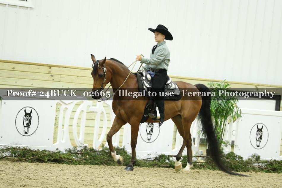 Proof 24BUCK_02665