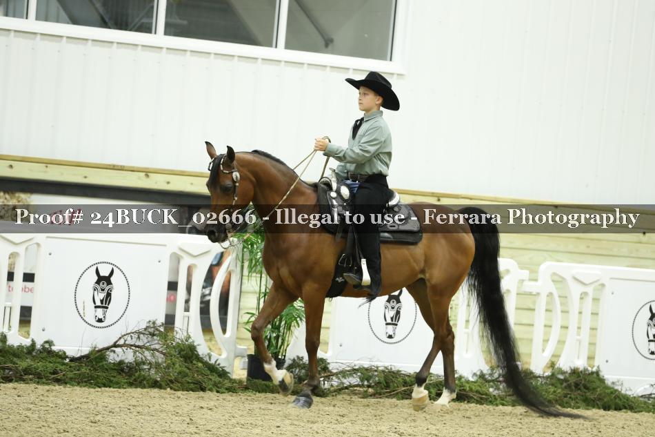Proof 24BUCK_02666