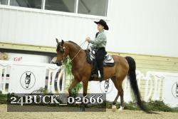 24BUCK_02666 proof