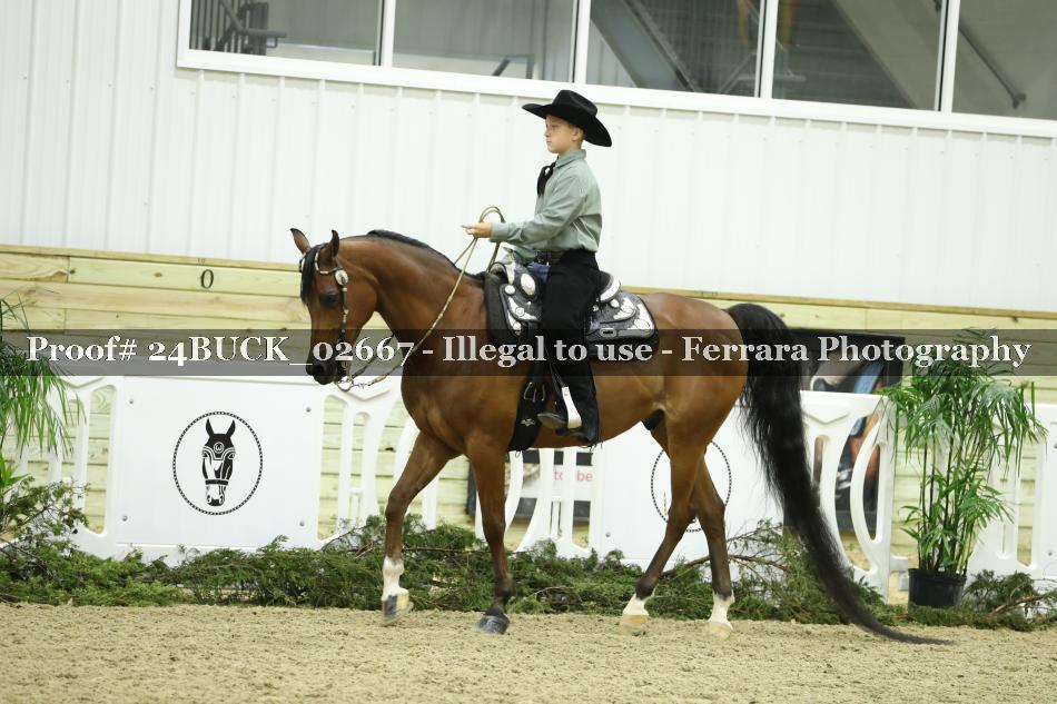 Proof 24BUCK_02667