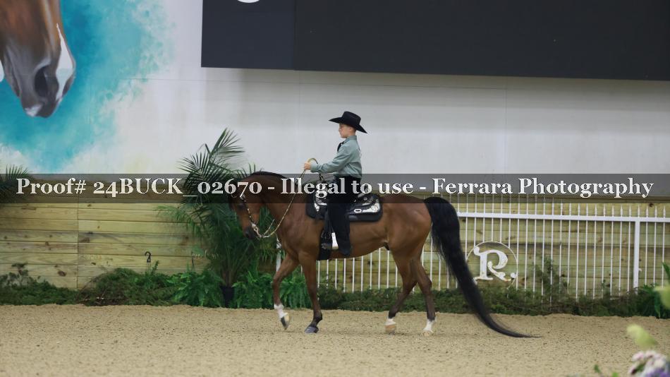 Proof 24BUCK_02670