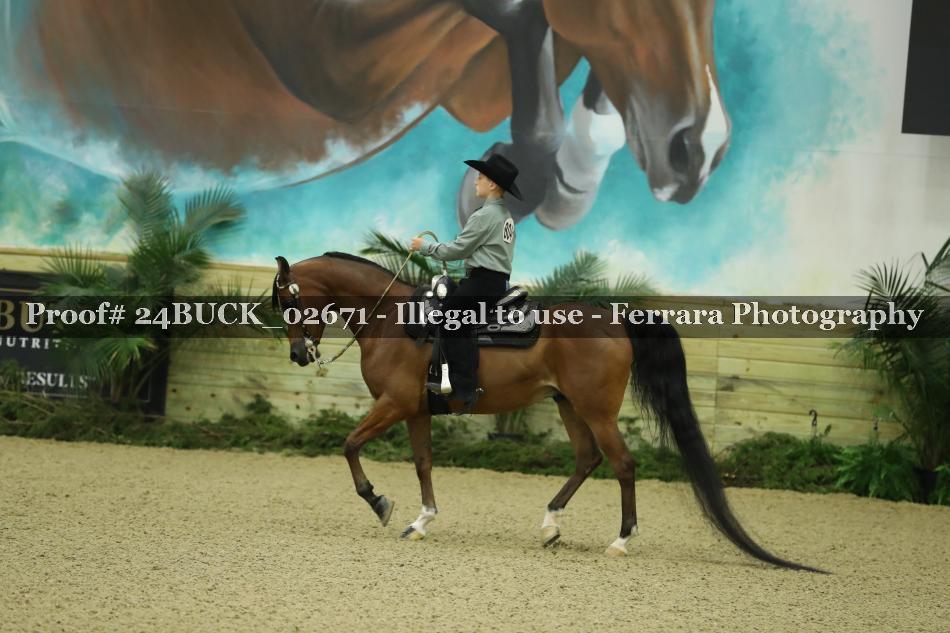 Proof 24BUCK_02671