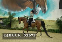 24BUCK_02671 proof