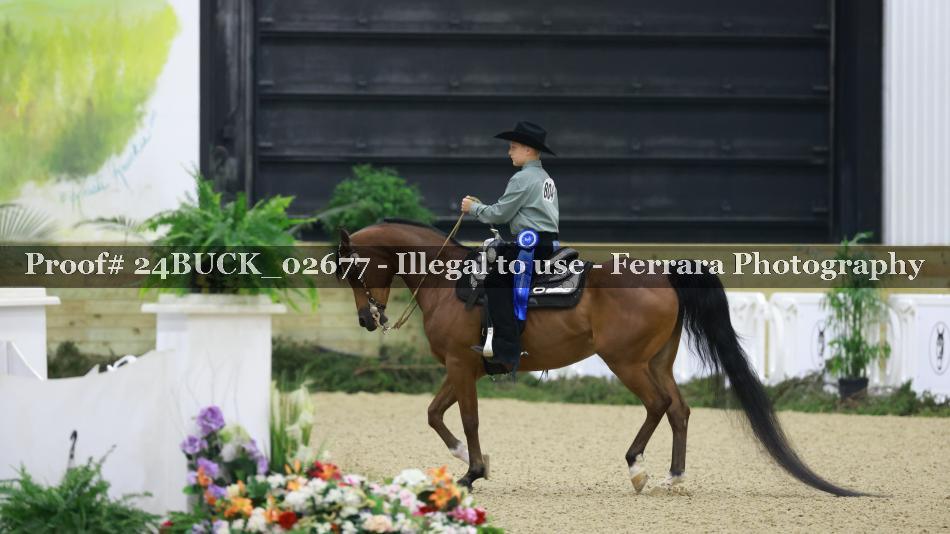 Proof 24BUCK_02677