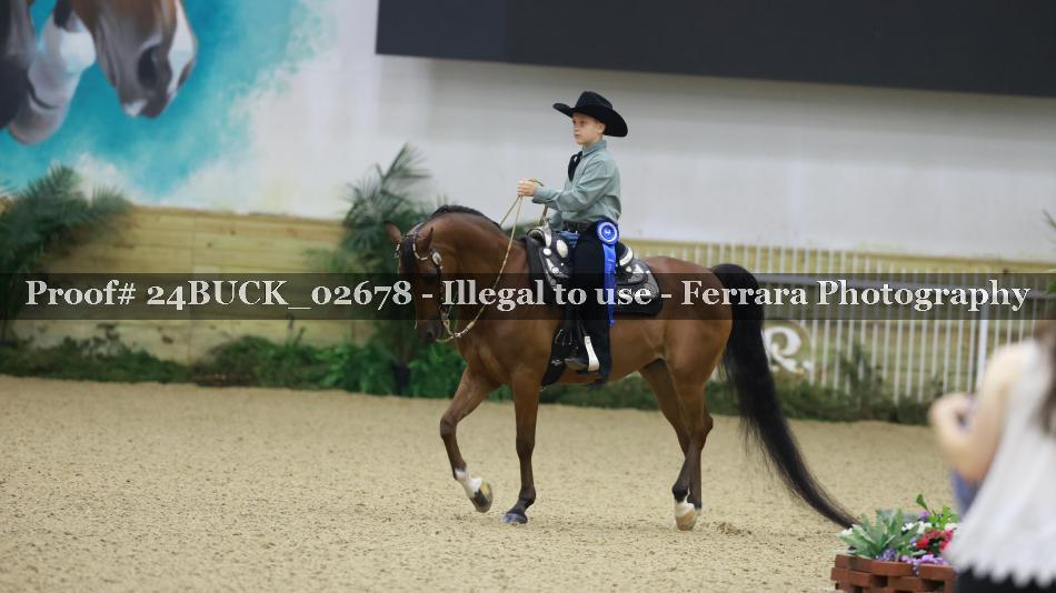Proof 24BUCK_02678