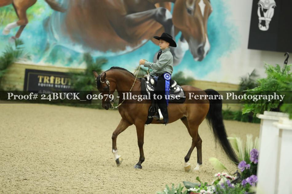 Proof 24BUCK_02679