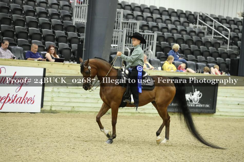 Proof 24BUCK_02687