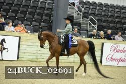 24BUCK_02691 proof