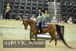 24BUCK_02696 proof