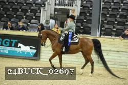 24BUCK_02697 proof