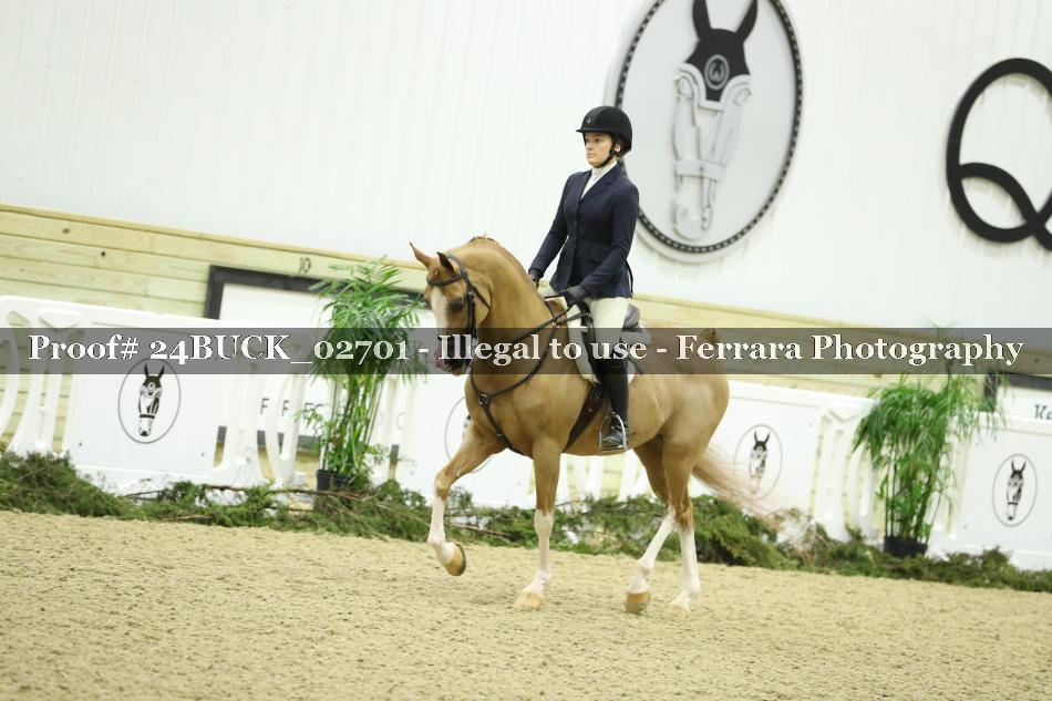 Proof 24BUCK_02701