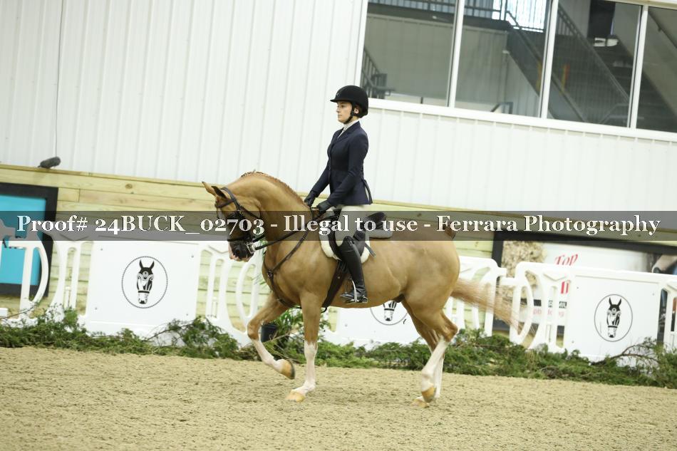 Proof 24BUCK_02703