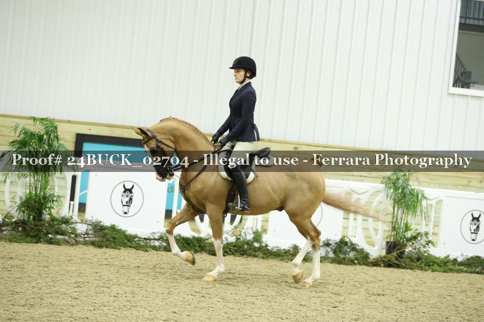 Proof 24BUCK_02704