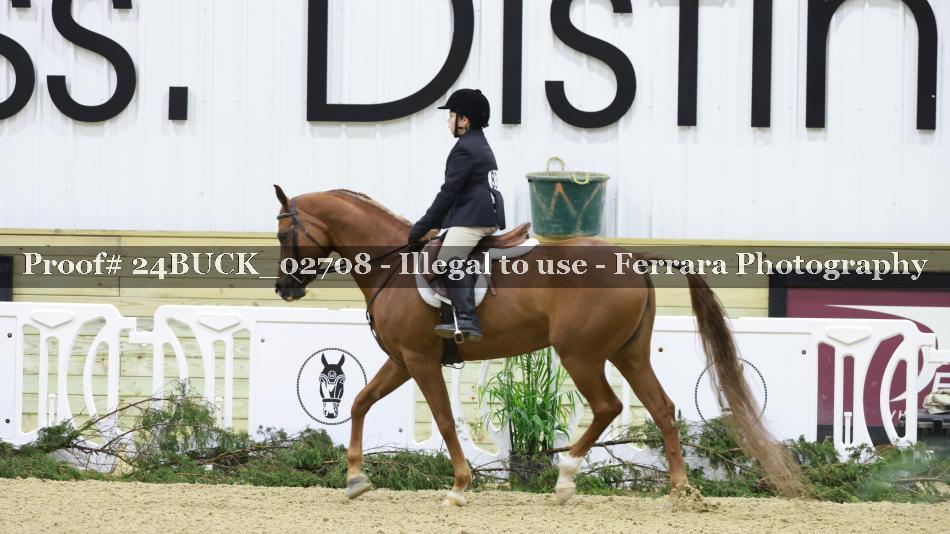 Proof 24BUCK_02708
