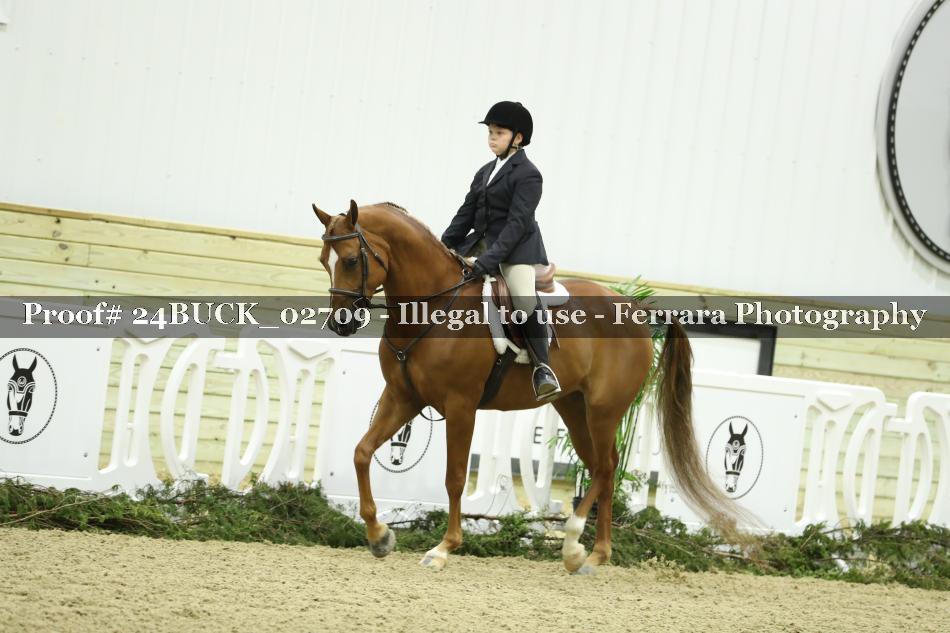 Proof 24BUCK_02709