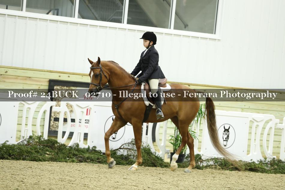 Proof 24BUCK_02710