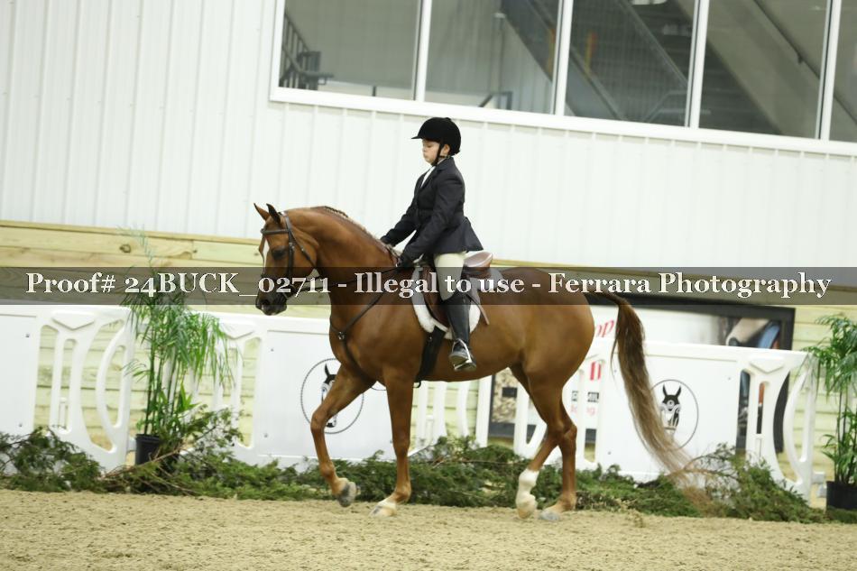 Proof 24BUCK_02711