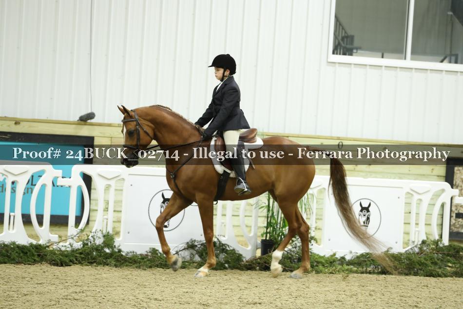 Proof 24BUCK_02714