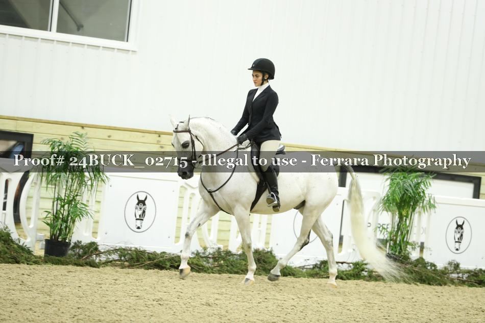 Proof 24BUCK_02715