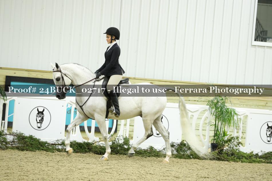 Proof 24BUCK_02717