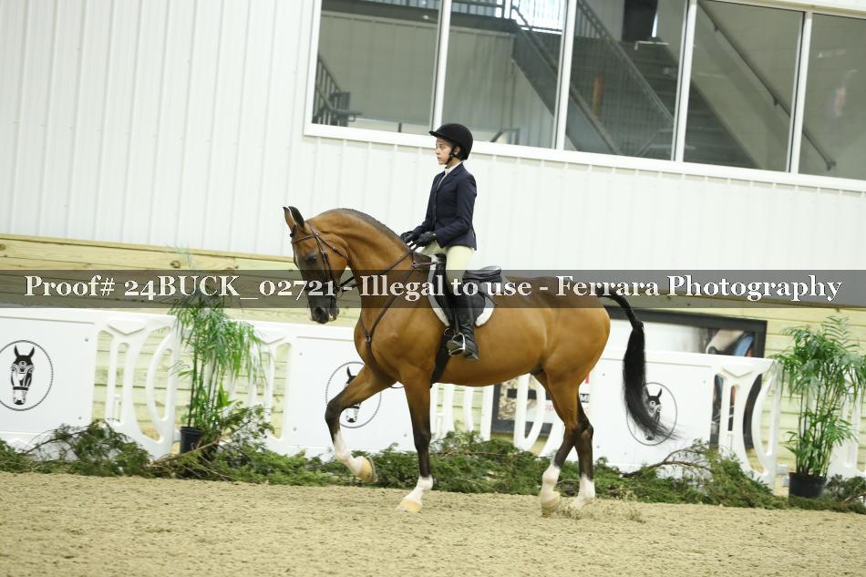 Proof 24BUCK_02721