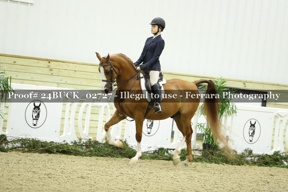 Proof 24BUCK_02727