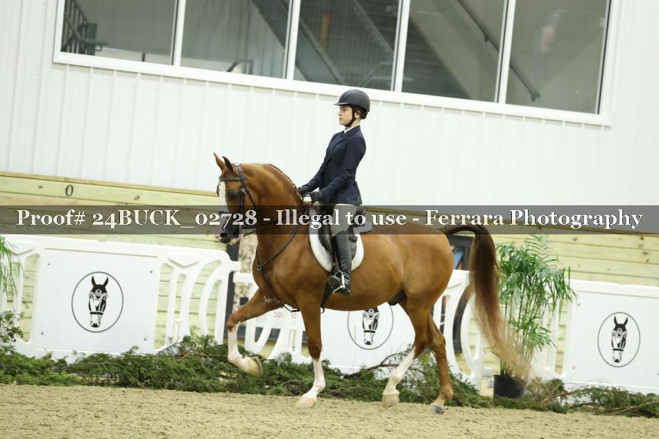 Proof 24BUCK_02728