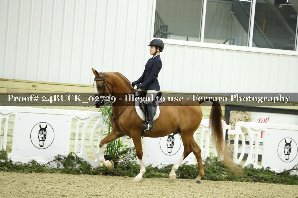 Proof 24BUCK_02729