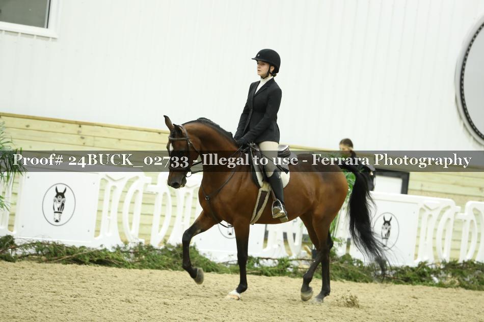 Proof 24BUCK_02733