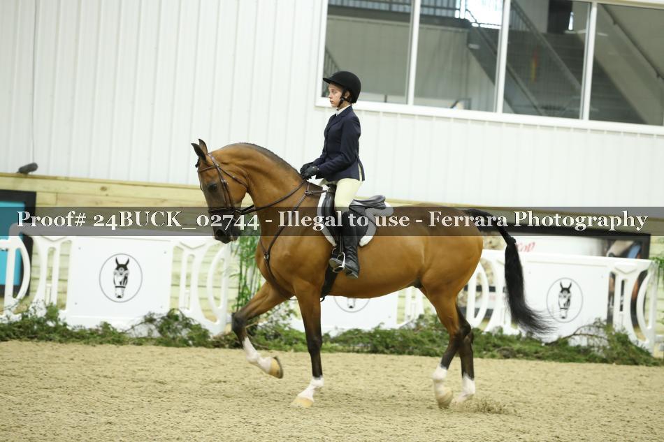 Proof 24BUCK_02744