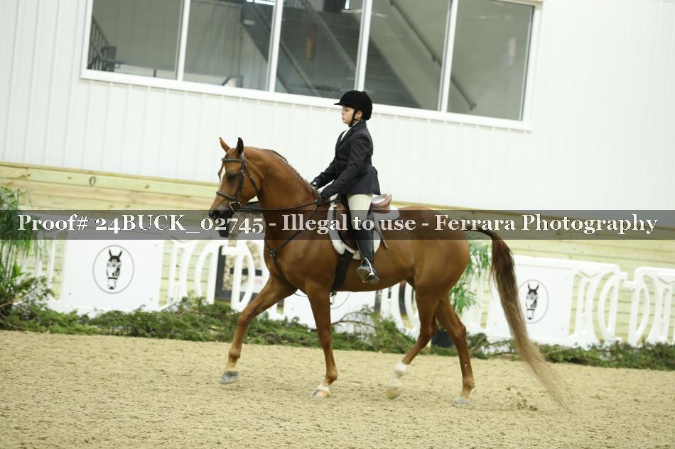Proof 24BUCK_02745