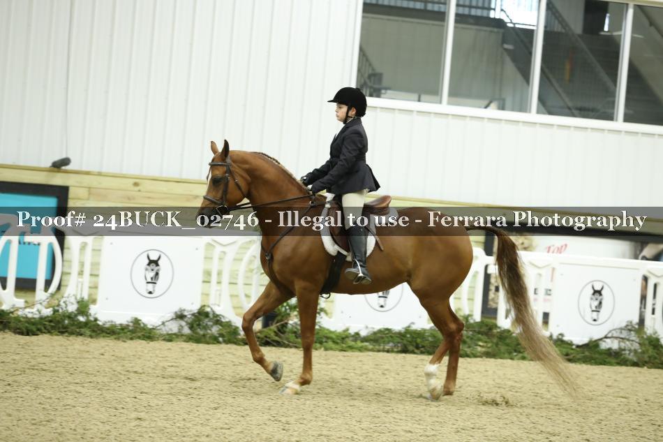 Proof 24BUCK_02746