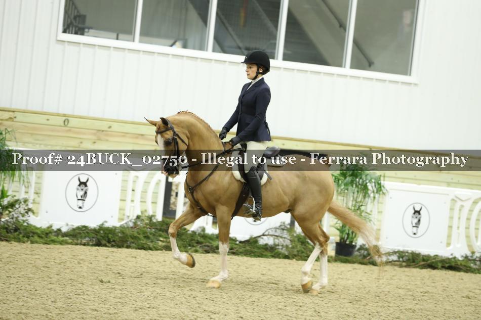 Proof 24BUCK_02750