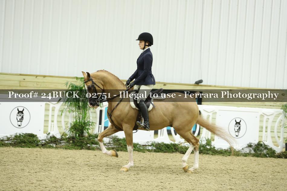 Proof 24BUCK_02751