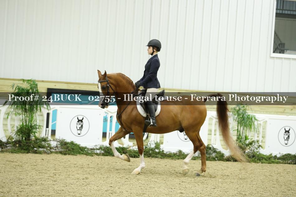 Proof 24BUCK_02755