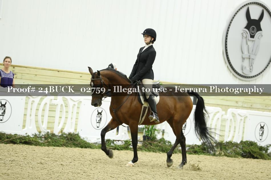 Proof 24BUCK_02759