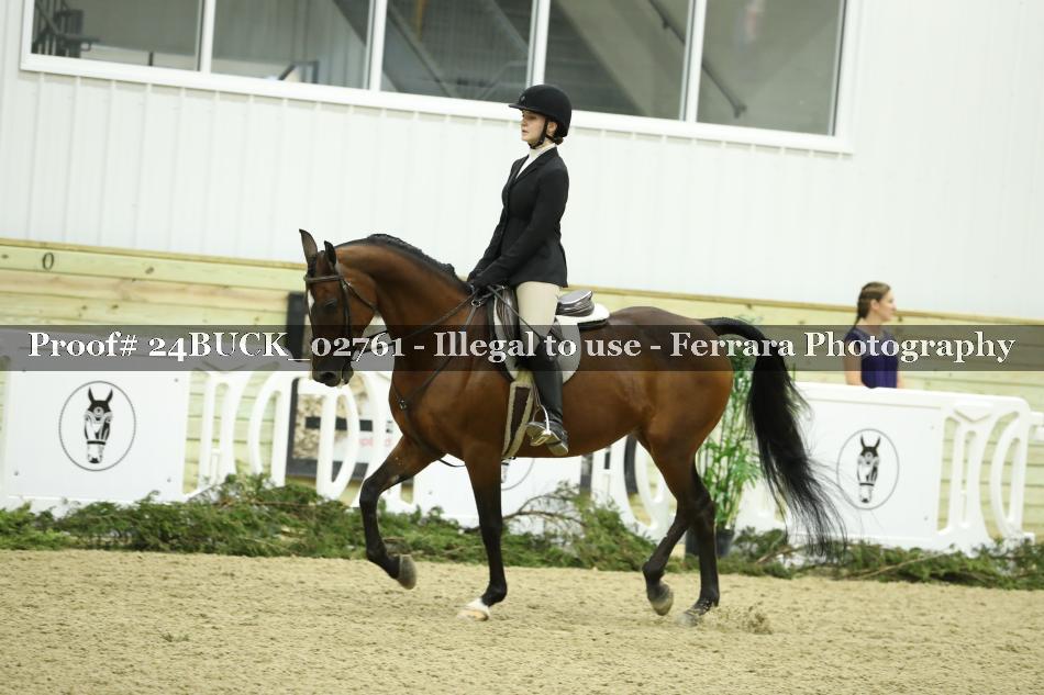 Proof 24BUCK_02761