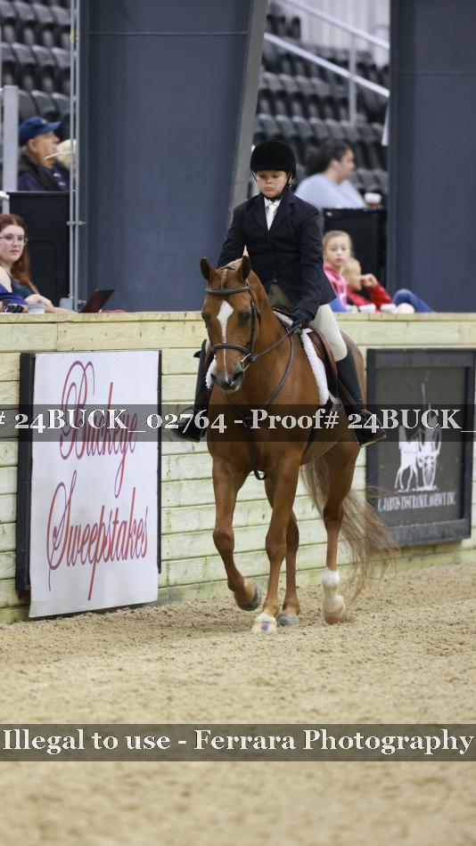 Proof 24BUCK_02764