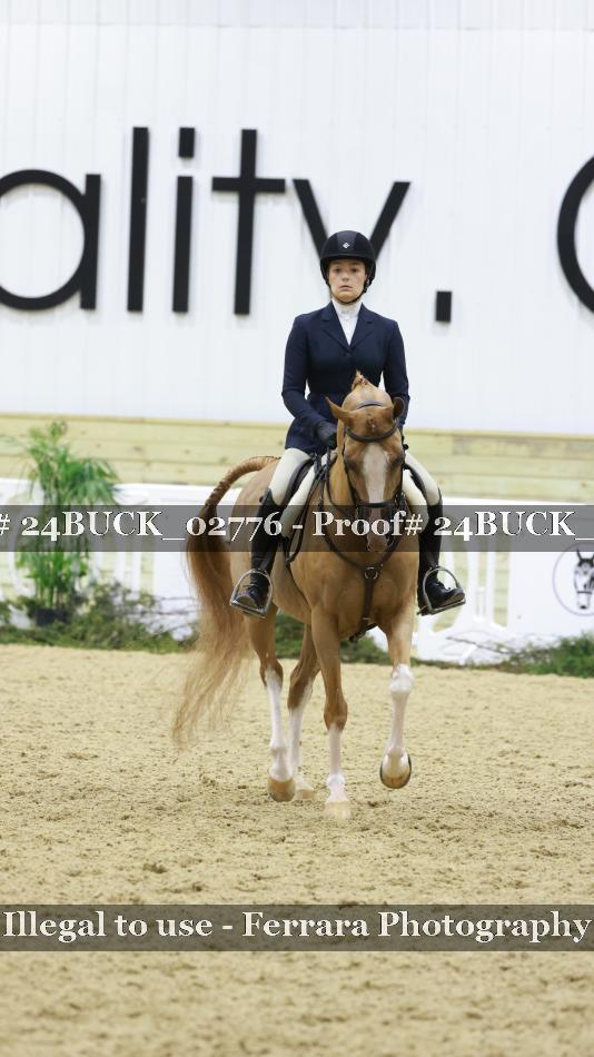 Proof 24BUCK_02776