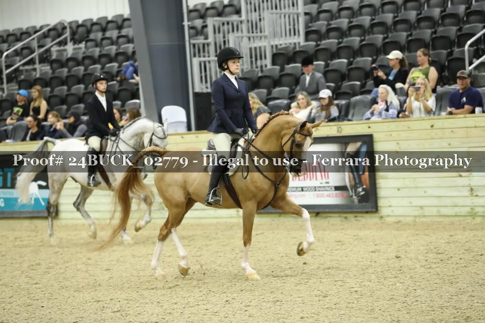 Proof 24BUCK_02779