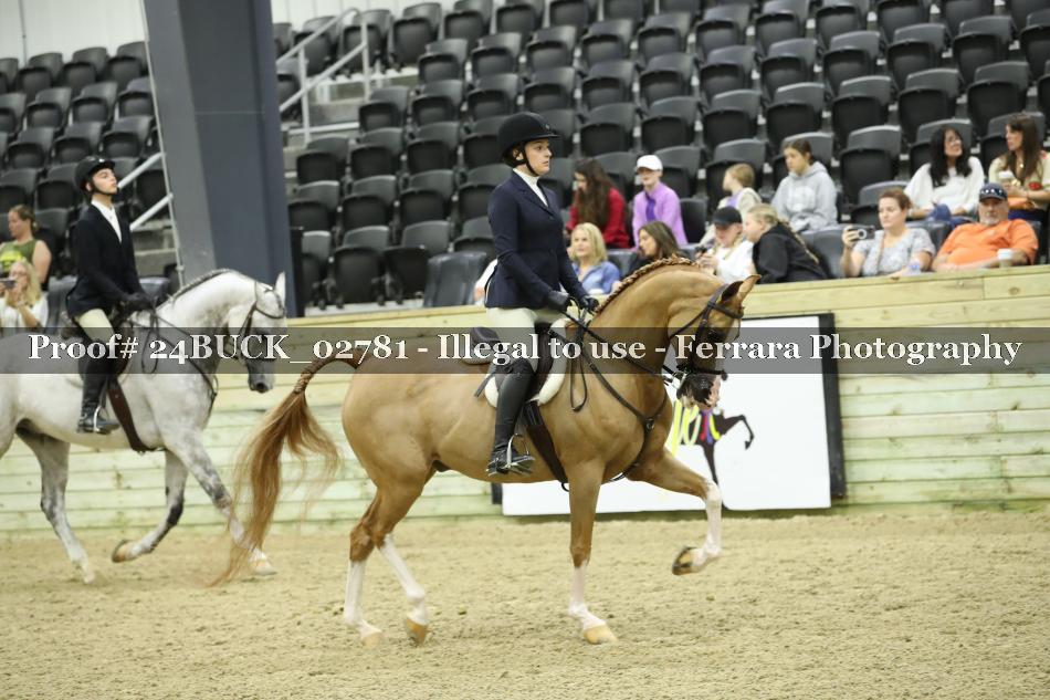 Proof 24BUCK_02781